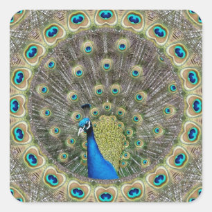 Kaleidoscope Peacock Vierkante Sticker