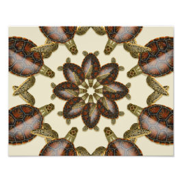 Kaleidoscopische groene schildpad 14 x 11-inch afd foto afdruk