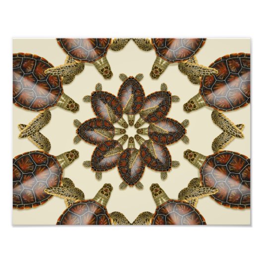 Kaleidoscopische groene schildpad 14 x 11-inch afd foto afdruk (Voorkant)