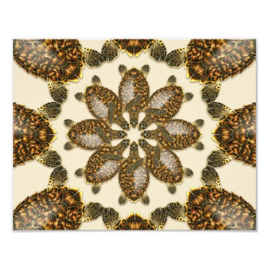 Kaleidoscopische Hawksbill Zee Turtle 14 x 11 inch Foto Afdruk (Voorkant)
