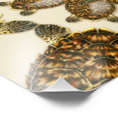 Kaleidoscopische Hawksbill Zee Turtle 14 x 11 inch Foto Afdruk (Hoek)