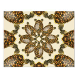 Kaleidoscopische karetschildpad 14" x 11" print foto afdruk