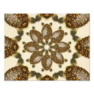 Kaleidoscopische karetschildpad 14" x 11" print foto afdruk