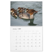 Kalendar 2027 met Schattige Eendenbaby's aan de Mu Kalender (Jan 2027)