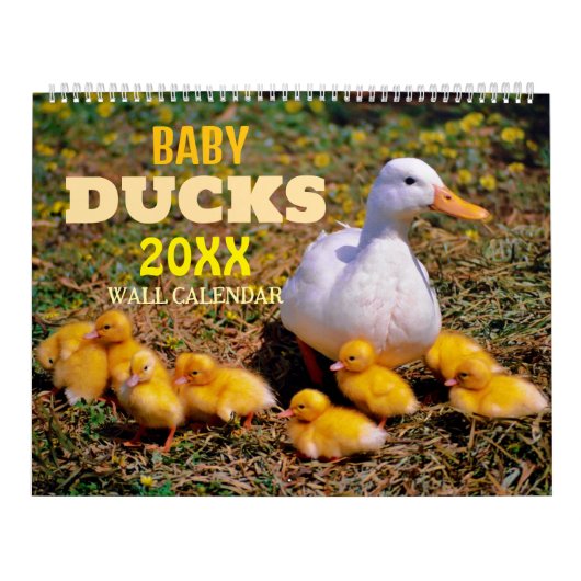 Kalendar 2027 met Schattige Eendenbaby's aan de Mu Kalender (Hoes)