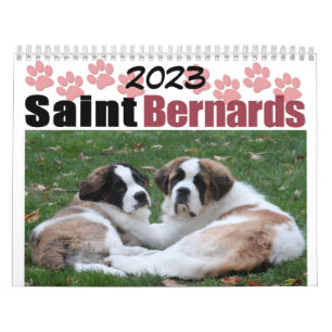 Kalendar met Saint Bernard Puppy's, een Mooie Hond Kalender