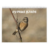 Kalender (Hoes)
