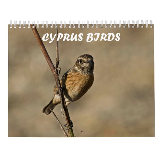Kalender (Achterkant)