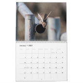 Kalender (Jan 2027)
