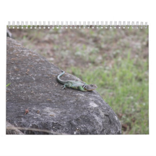 Kalender