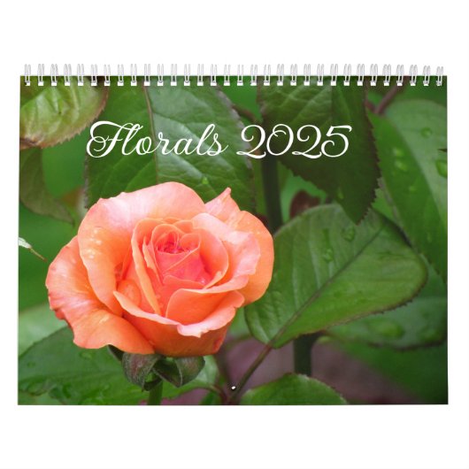 Kalender (Hoes)
