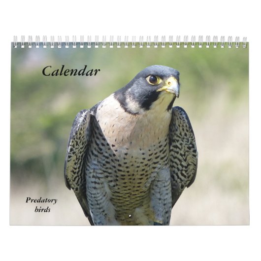 Kalender 12 maanden, roofvogels (Hoes)