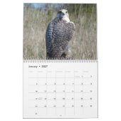 Kalender 12 maanden, roofvogels (Jan 2027)
