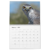 Kalender 12 maanden, roofvogels (Feb 2027)
