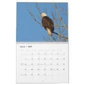 Kalender 12 maanden, roofvogels (Mar 2027)