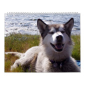 Kalender 2007 van Quinn (Hoes)