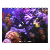 Kalender 2009 ~ 2010 (Hoes)
