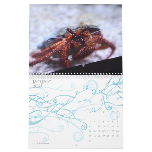 Kalender 2009 ~ 2010 (Jan 2027)
