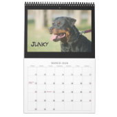 Kalender 2010 C-afval (Mar 2026)