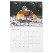 Kalender 2010, vogels in Brazilië (Mar 2027)