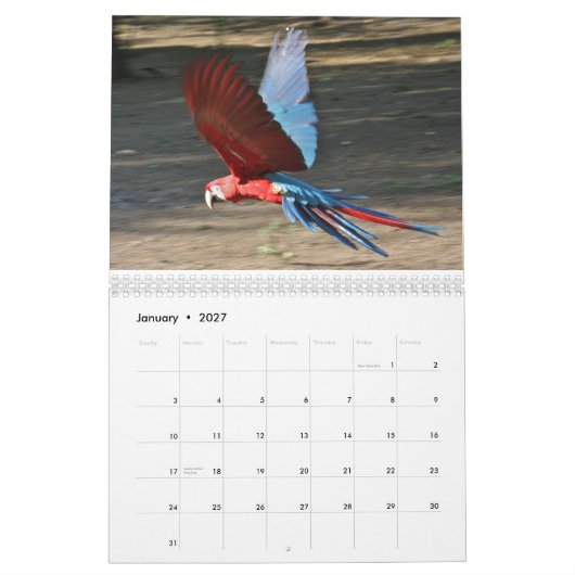 Kalender 2010, vogels in Brazilië (Jan 2027)
