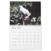 Kalender 2010, vogels in Brazilië (Feb 2027)