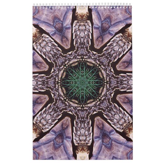 Kalender 2011 Kaleidoscopen (Hoes)