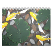 Kalender 2012 koi (Hoes)
