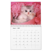 Kalender 2012 voor katten (Mar 2027)