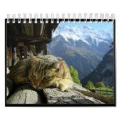 Kalender 2012 voor katten (Hoes)