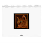 kalender 2013 (Achterkant)