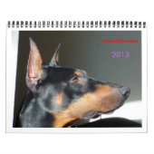 kalender 2013. (Hoes)