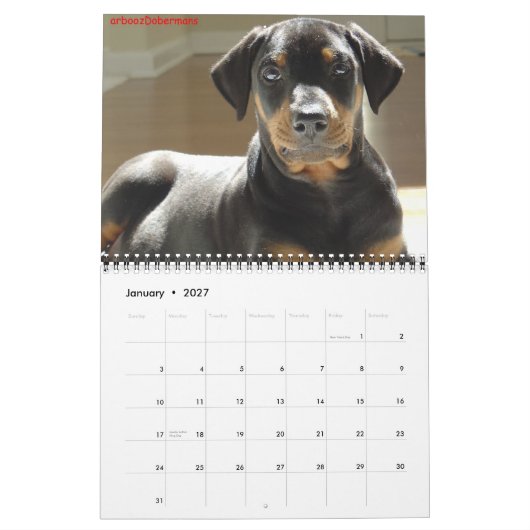 kalender 2013. (Jan 2027)