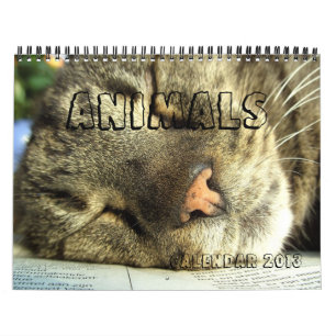 Kalender 2013 - Dieren