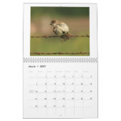 Kalender 2014 voor beesten en vogels (Mar 2027)