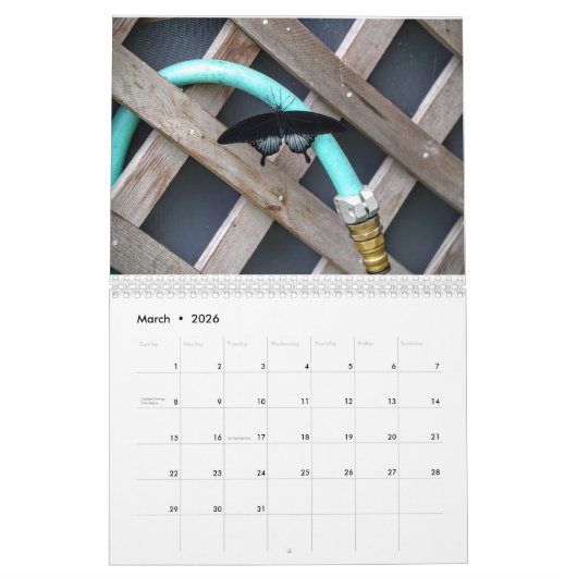 Kalender 2016, vlinders en bloei (Mar 2026)