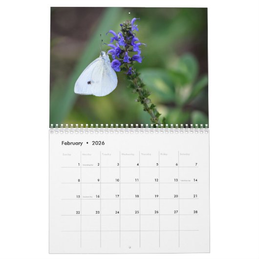 Kalender 2016, vlinders en bloei (Feb 2026)