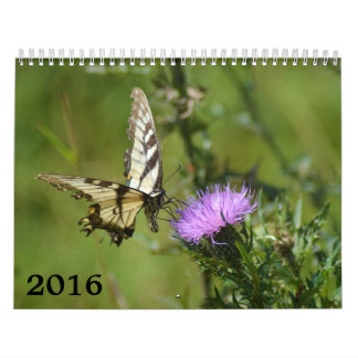 Kalender 2016, vlinders en bloei