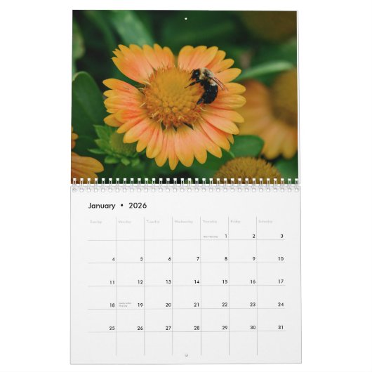 Kalender 2016, vlinders en bloei (Jan 2026)