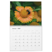 Kalender 2016, vlinders en bloei (Jan 2027)