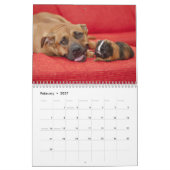 Kalender 2016 voor Sweet Guinee (Feb 2027)