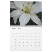 Kalender 2017 (Jan 2027)