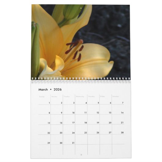 Kalender 2017 (Mar 2026)