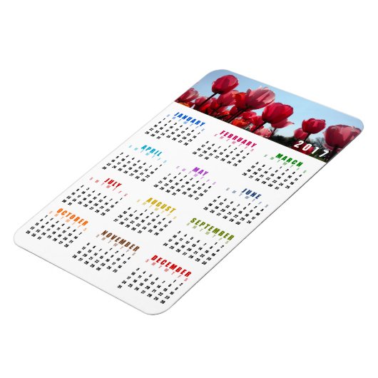 Kalender 2017 Magnet - Pink Peach Tulips Garden Magneet (Linkerzijde)