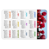 Kalender 2017 Magnet - Pink Peach Tulips Garden Magneet (Horizontaal)