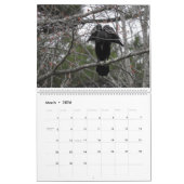 Kalender 2017 - New Hampshire Natuur van Traci Yor (Mar 2026)