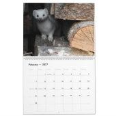 Kalender 2017 - New Hampshire Natuur van Traci Yor (Feb 2027)