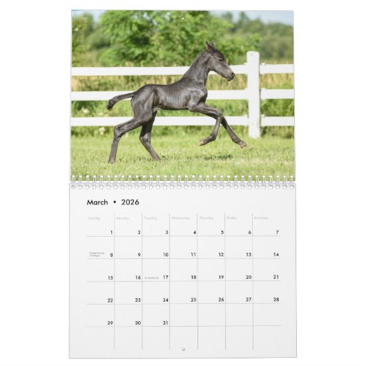 Kalender 2018 voor Majestic Friesians (Mar 2026)