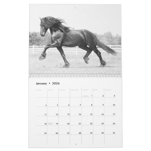 Kalender 2018 voor Majestic Friesians (Jan 2026)