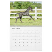 Kalender 2018 voor Majestic Friesians (Mar 2027)